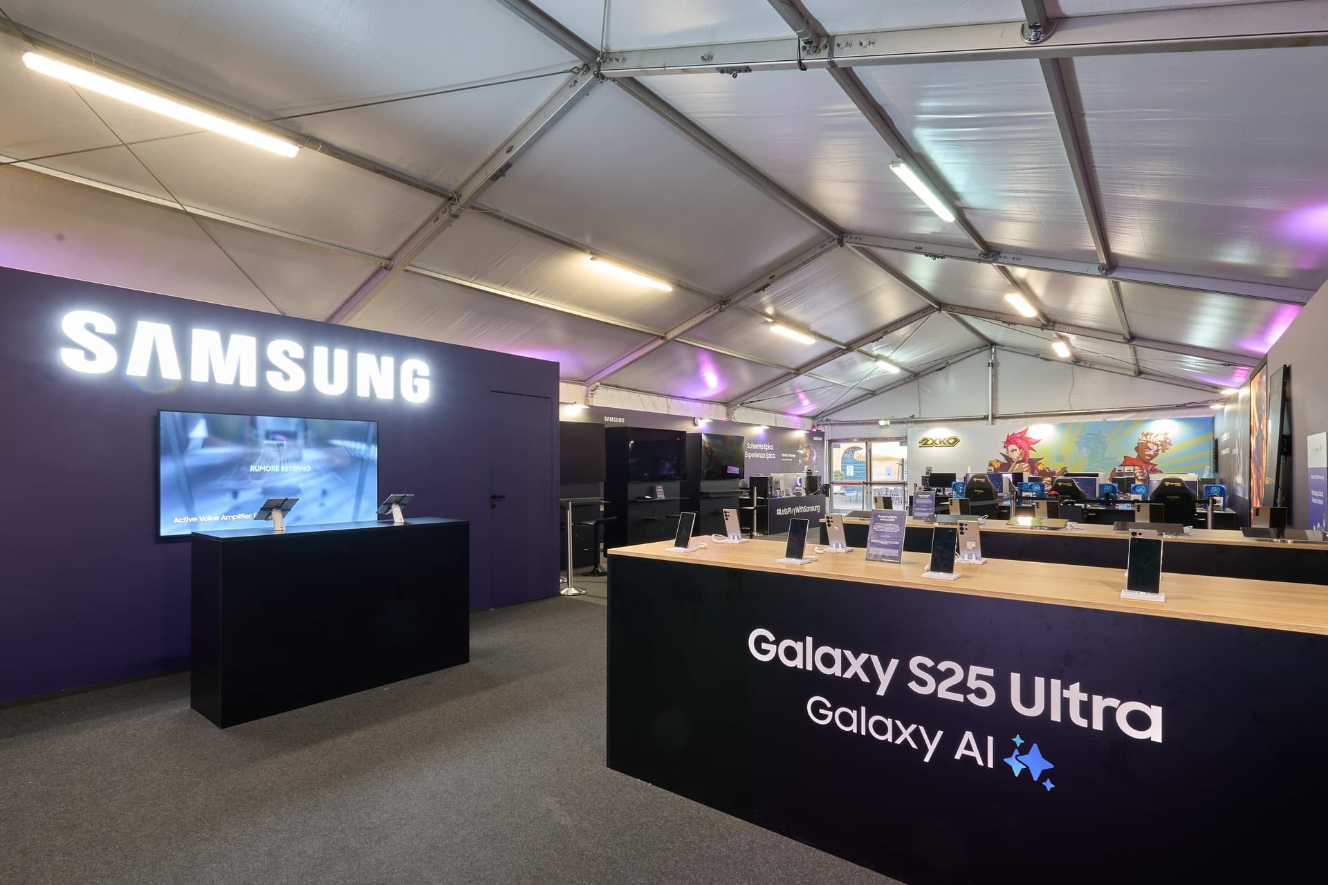 Web Design & Development